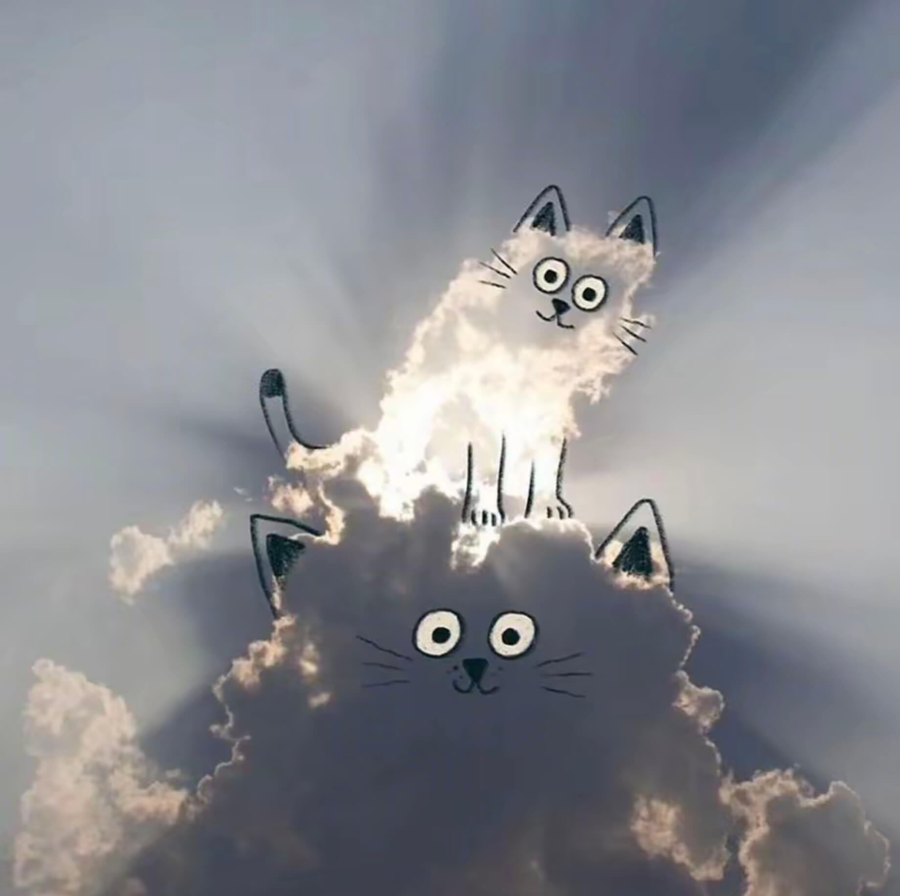 软实力没有好教材,硬实力全是好教材